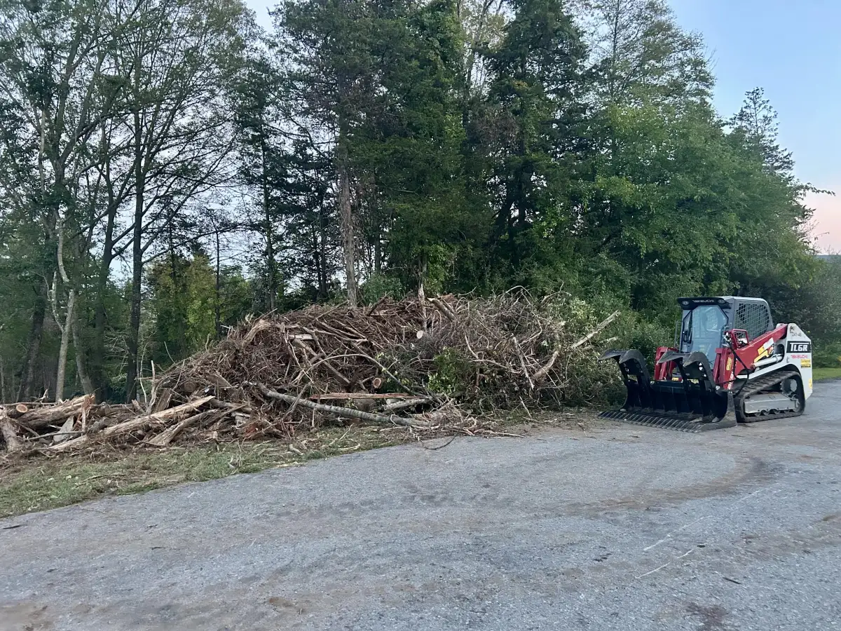 Skid steer clearing brush and debris from a property in Dutchess County