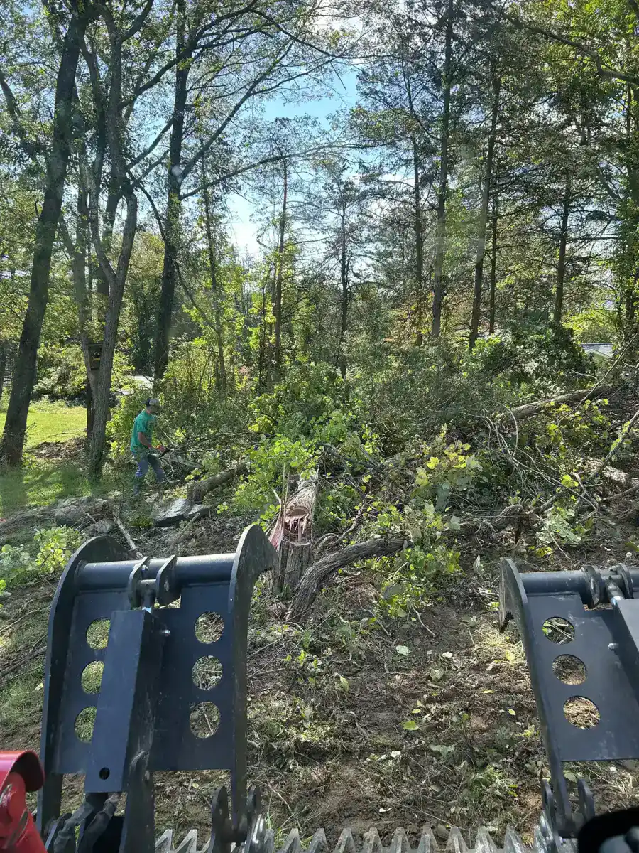 Demolition and site clearing equipment