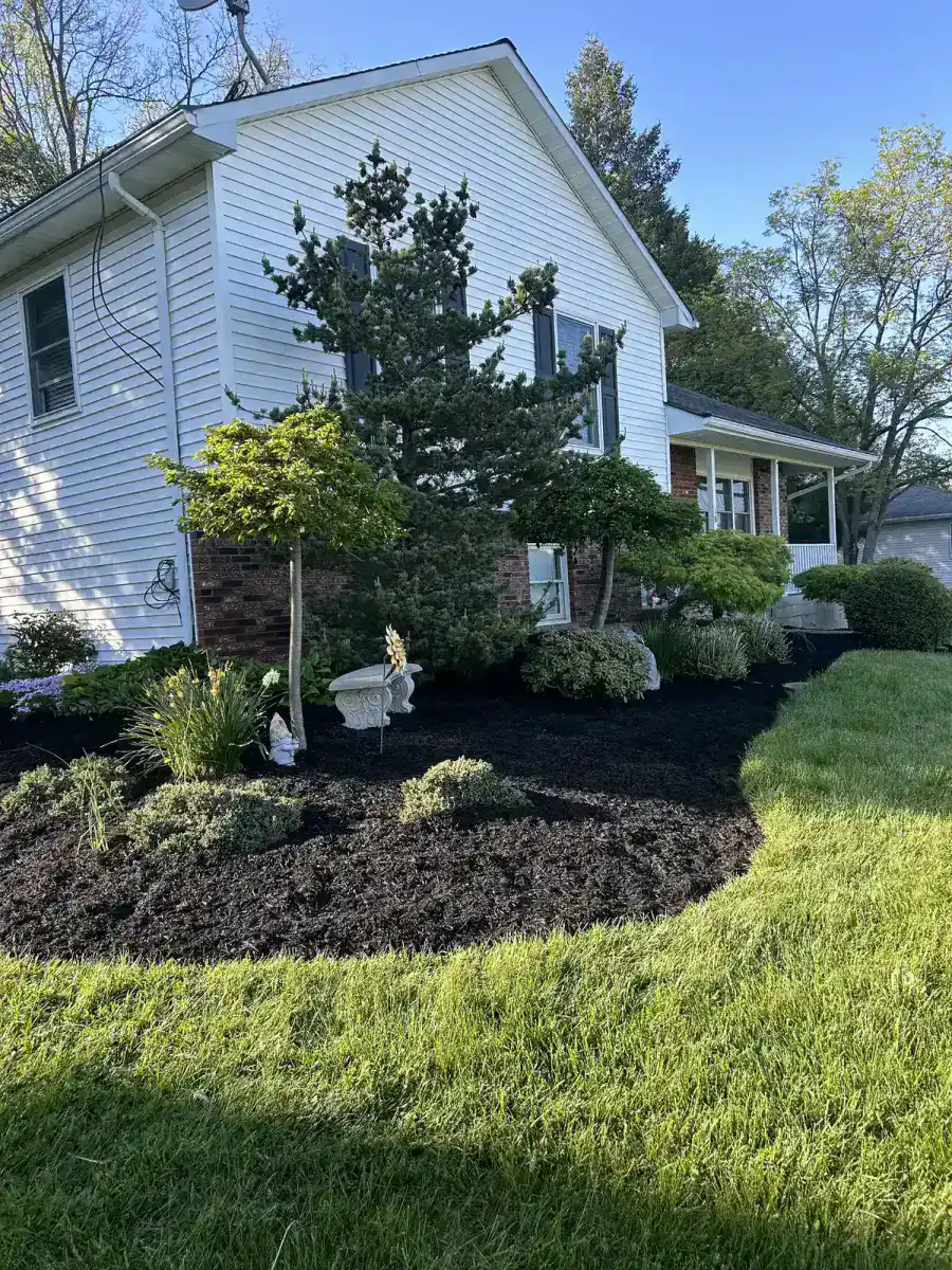 Established planting beds and lawn surrounding a residential home