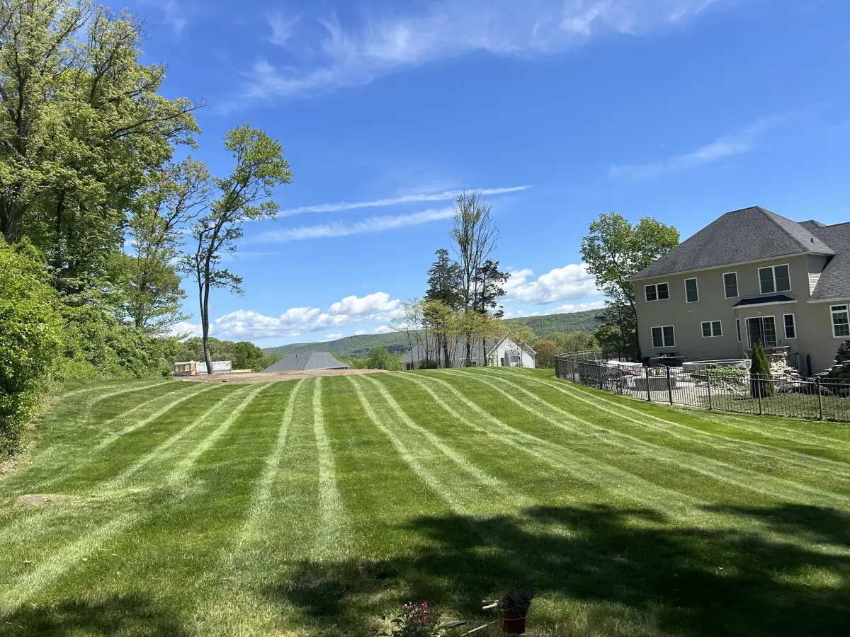 Lawn striping with mountain backdrop